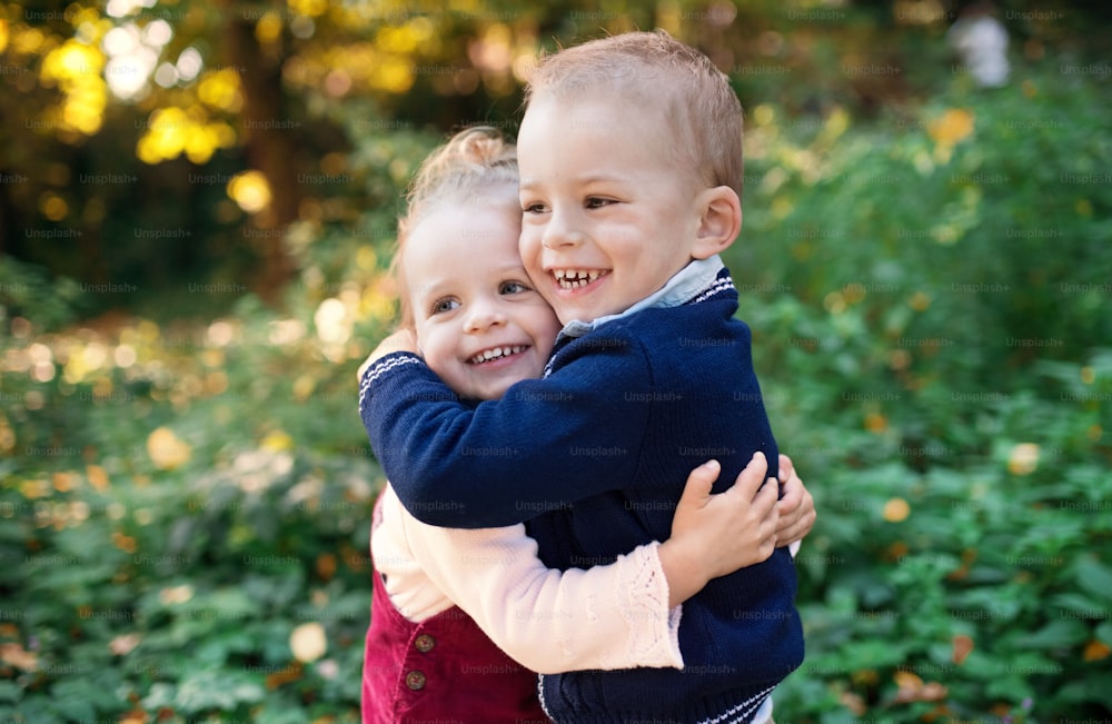 A portrait of twin toddler sibling boy and girl standing in autumn forest, hugging.