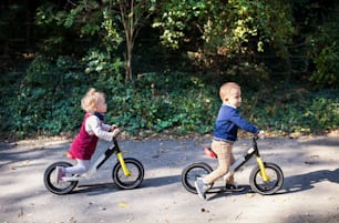 Ragazzo e ragazza gemelli nella foresta autunnale, pedalando in bici da equilibrio su un sentiero.