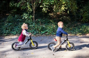 Irmão gêmeo menino e menina na floresta de outono, andando de bicicleta de equilíbrio em um caminho.