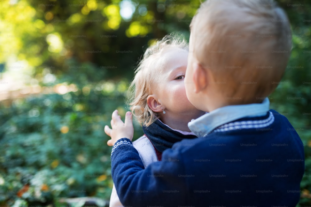 Twin toddler sibling boy and girl standing in autumn forest, kissing. Copy space.