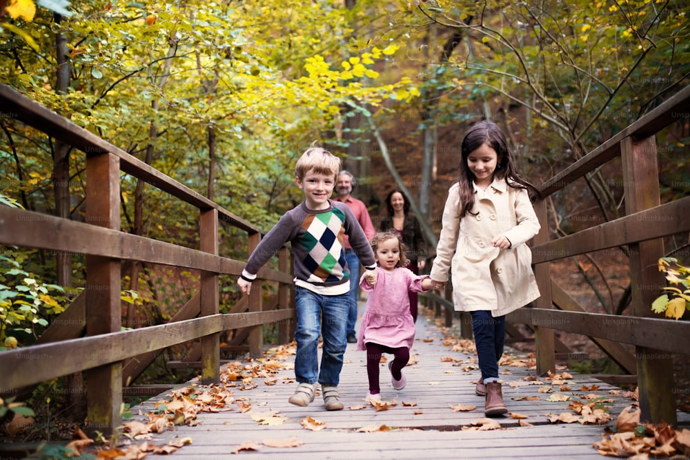 Eine schöne junge Familie mit kleinen Kindern auf einem Spaziergang im Herbstwald, Händchen haltend.
