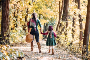 A rear view of mother with a toddler daughter walking in forest in autumn nature, holding hands.