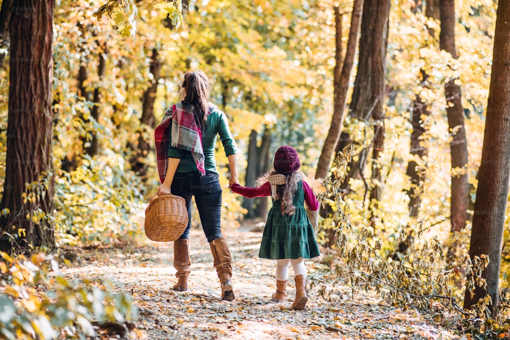 A rear view of mother with a toddler daughter walking in forest in autumn nature, holding hands.