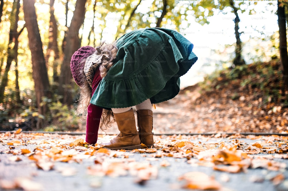 A rear view of small toddler girl playing in forest in autumn nature, playing.