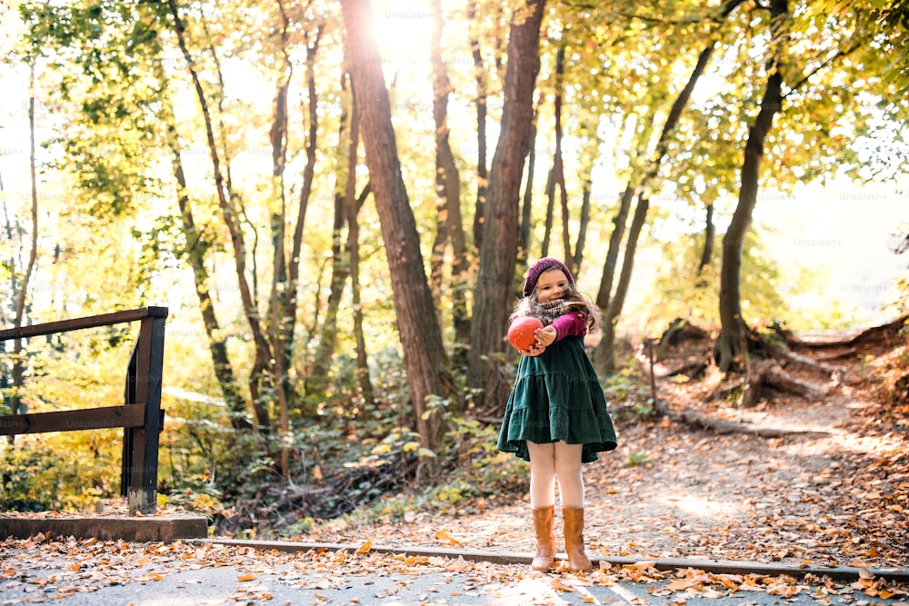 가을 자연의 숲에 서 있는 작은 어린 소녀의 초상화. 복사 공간.