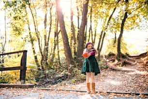A portrait of a small toddler girl standing in forest in autumn nature. Copy space.
