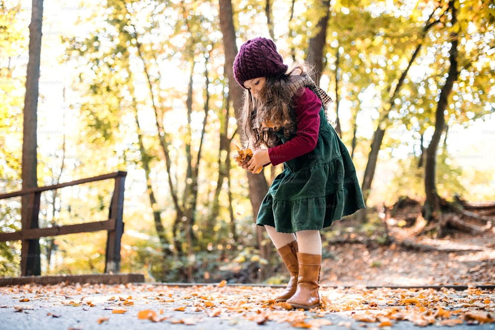 A portrait of a small toddler girl playing in forest in autumn nature, holding leaves. Copy space.