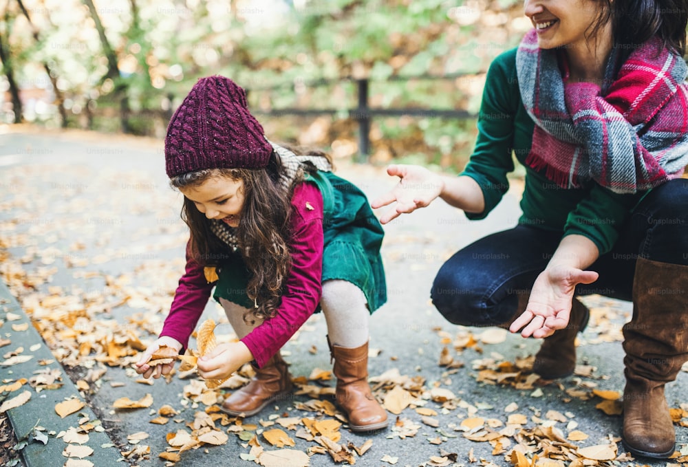 Uma jovem mãe irreconhecível com uma filha pequena coletando folhas na floresta na natureza do outono.