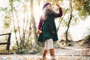 A low angle view of a small toddler girl standing in forest in autumn nature, holding leaves.