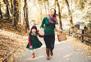 A portrait of young mother with a basket and a toddler daughter running in forest in autumn nature, holding hands.
