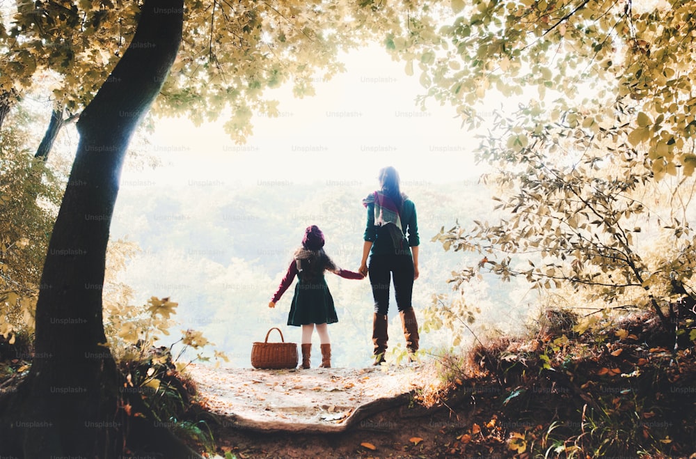 Una vista trasera de la madre con una hija pequeña de pie en el bosque en la naturaleza otoñal, tomados de la mano.