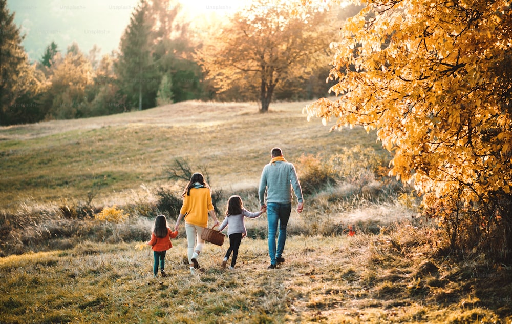 Eine Rückansicht einer jungen Familie mit zwei kleinen Kindern, die in der Herbstnatur spazieren gehen und sich an den Händen halten.