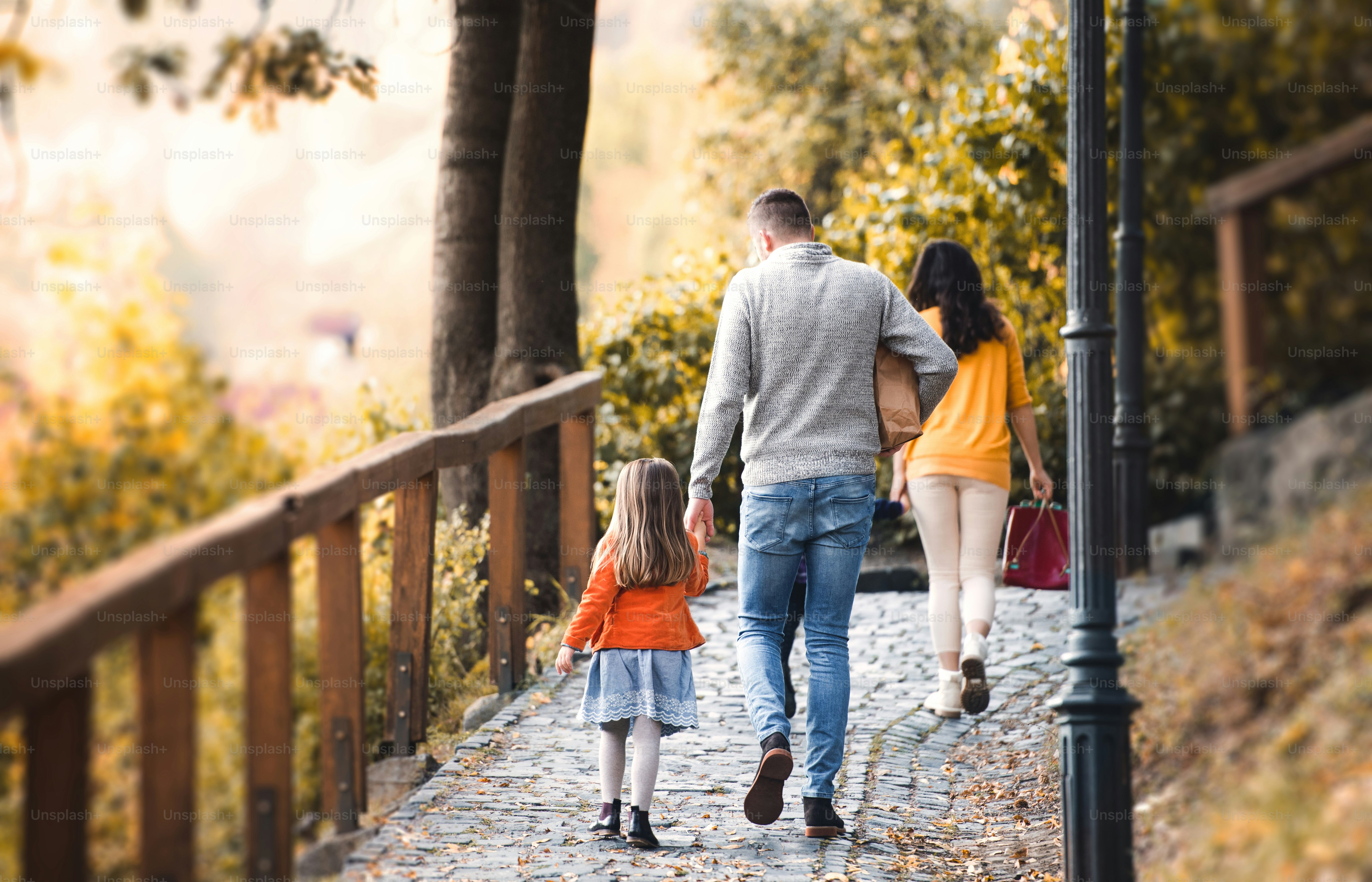 Fall Back Pictures | Download Free Images on Unsplash