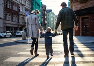 Una vista trasera de un niño pequeño con sus padres cruzando una calle al aire libre en la ciudad, tomados de la mano.