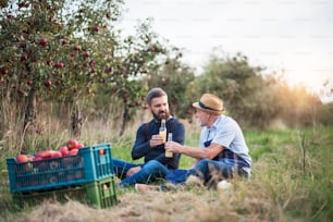 Um homem idoso com filho adulto segurando garrafas com cidra no pomar de maçãs no outono ao pôr do sol.