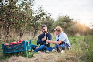 Un hombre mayor con un hijo adulto sosteniendo botellas con sidra en el huerto de manzanas en otoño al atardecer.