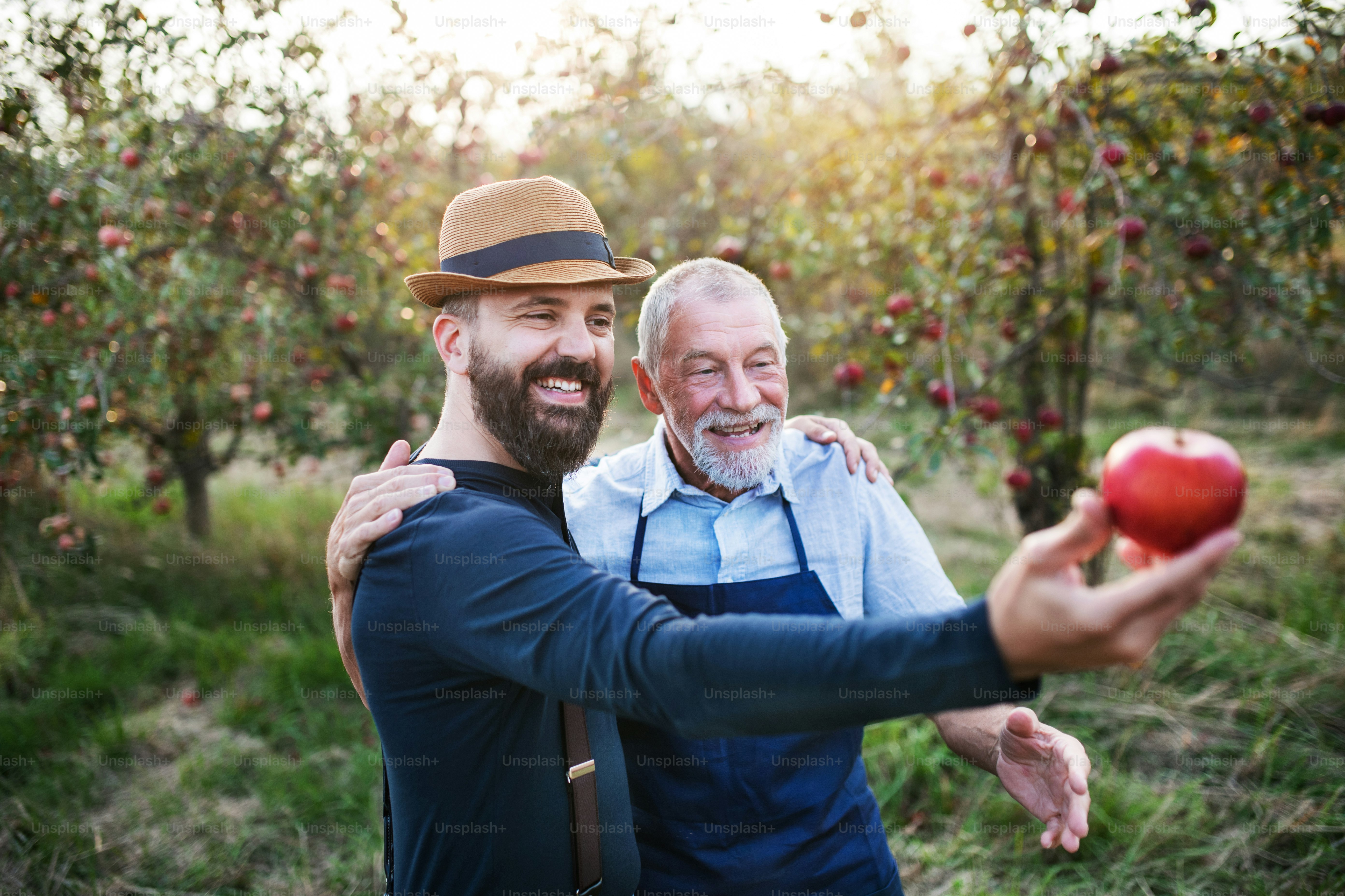 Ein älterer Mann und ein erwachsener Sohn stehen im Herbst im Obstgarten,  halten einen Apfel in der Hand und prüfen die Qualität. Foto – Bild zum  Thema Familie auf Unsplash, image size:3000x2000