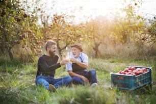 Ein älterer Mann mit erwachsenem Sohn, der im Herbst bei Sonnenuntergang Flaschen mit Apfelwein in einem Apfelgarten hält.