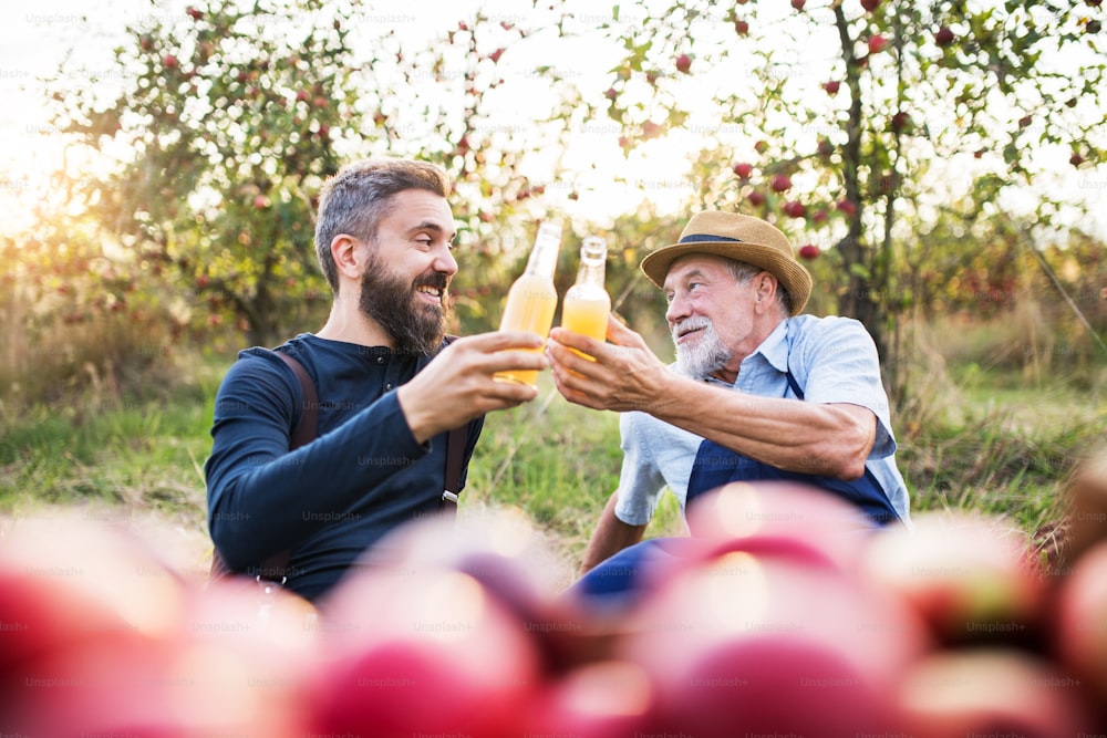 Ein älterer Mann mit erwachsenem Sohn, der im Herbst bei Sonnenuntergang Flaschen mit Apfelwein in einem Apfelgarten hält.