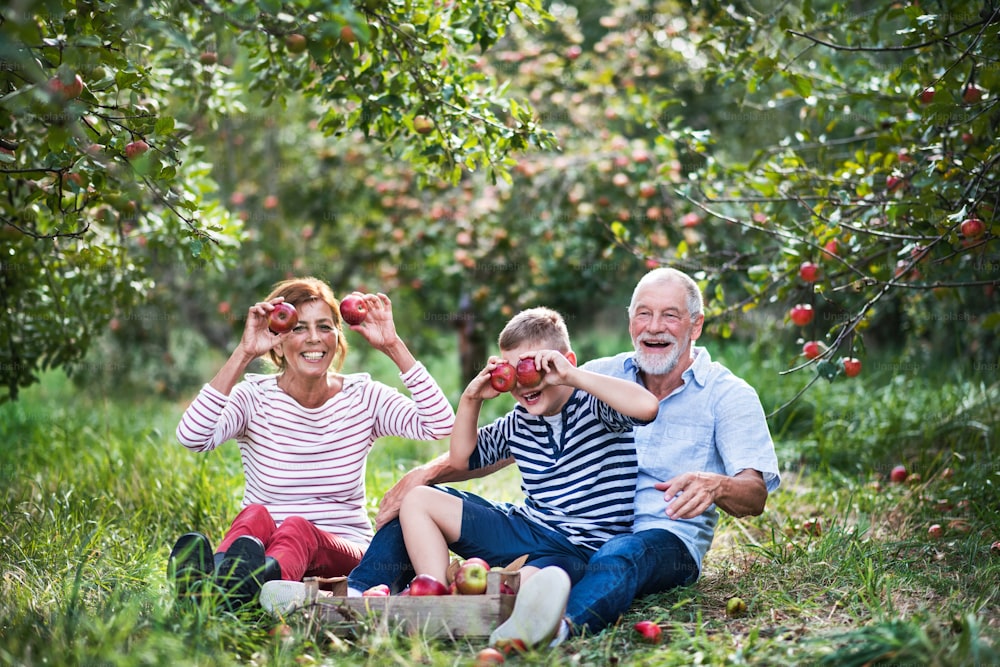 Ein älteres Paar mit kleinem Enkel im Apfelgarten sitzt auf Gras und hat Spaß.