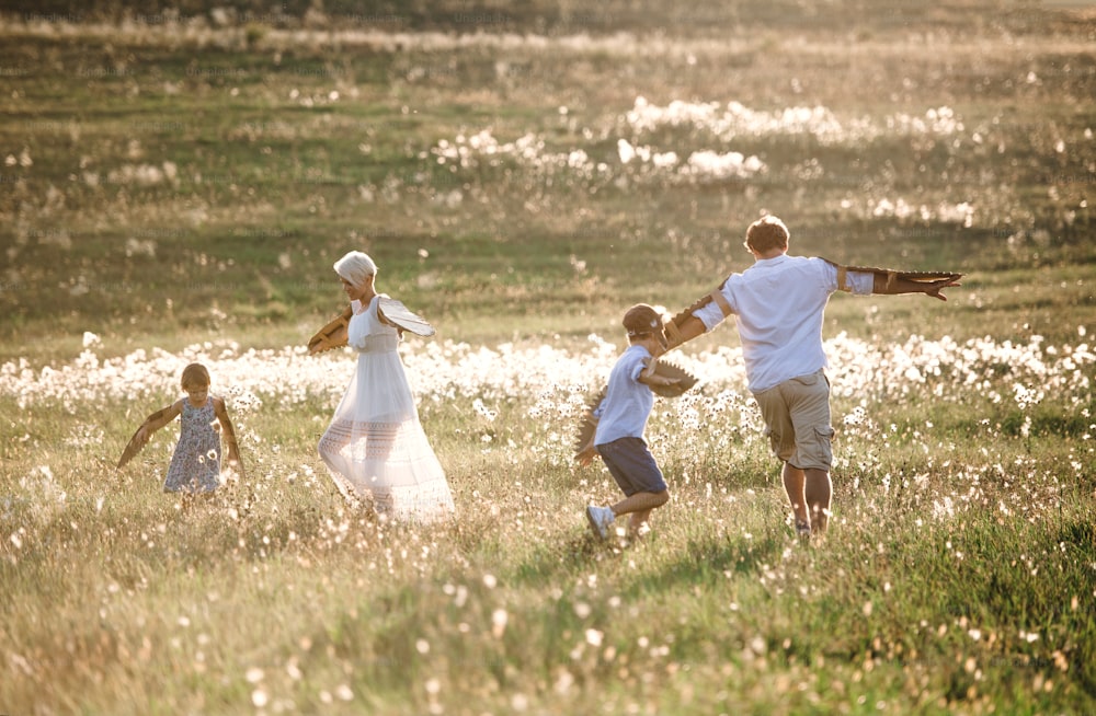 Uma jovem família com crianças pequenas brincando em um prado na natureza.