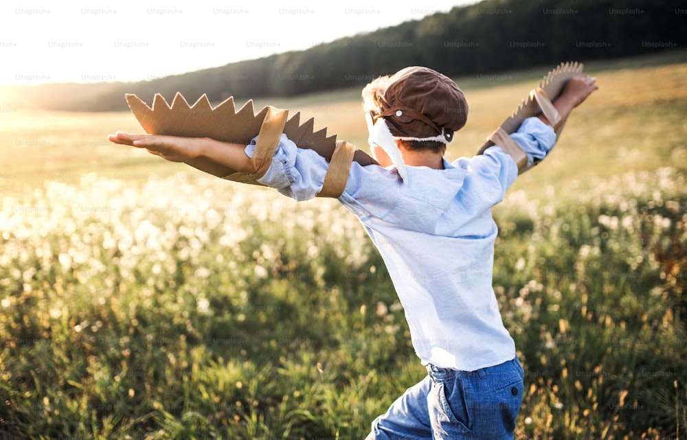 A small boy playing on a meadow in nature, with pilot goggles and wings as if flying.