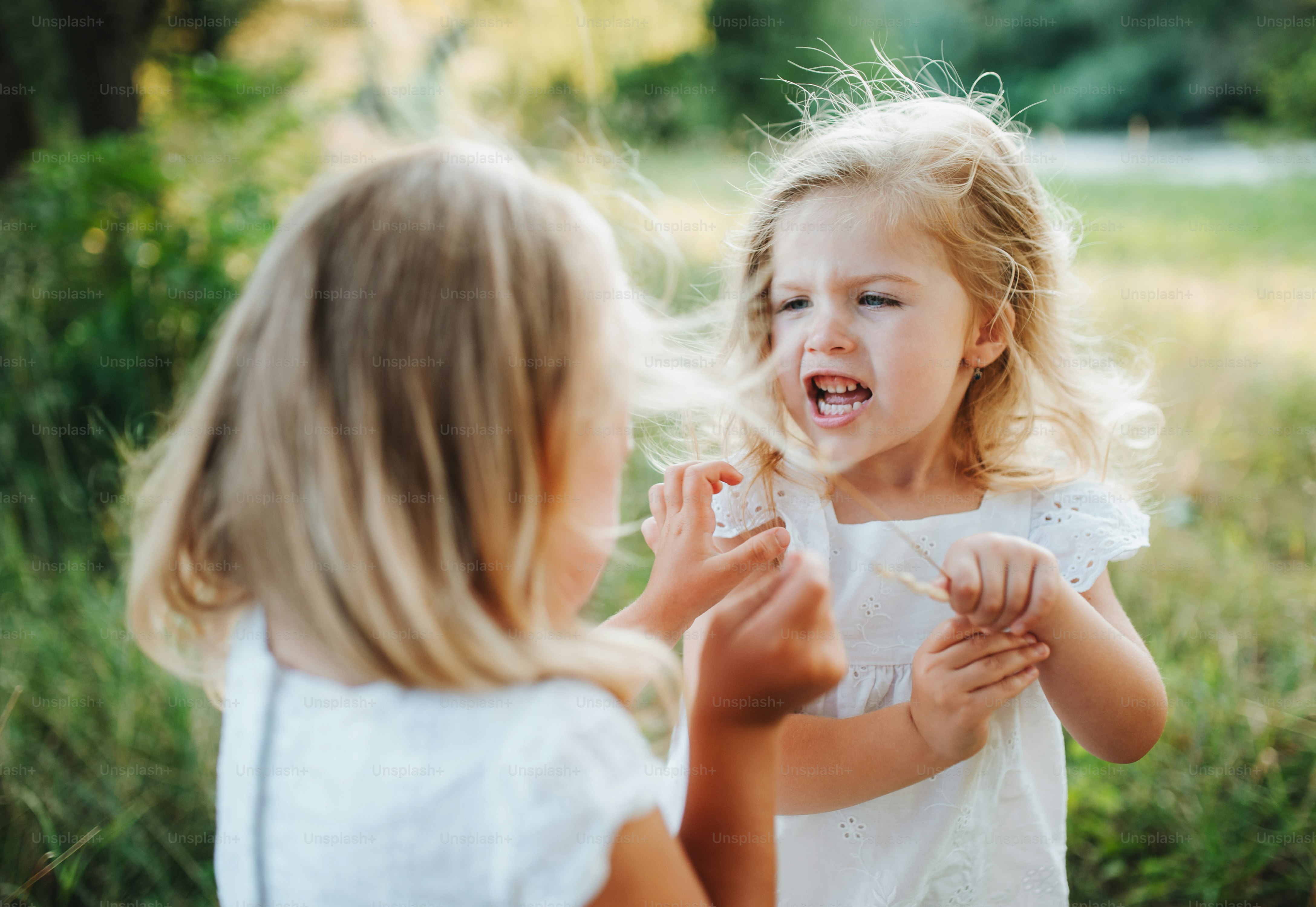Dua teman perempuan kecil atau saudara perempuan yang marah di luar ruangan di alam musim panas yang cerah, menarik rambut mereka.