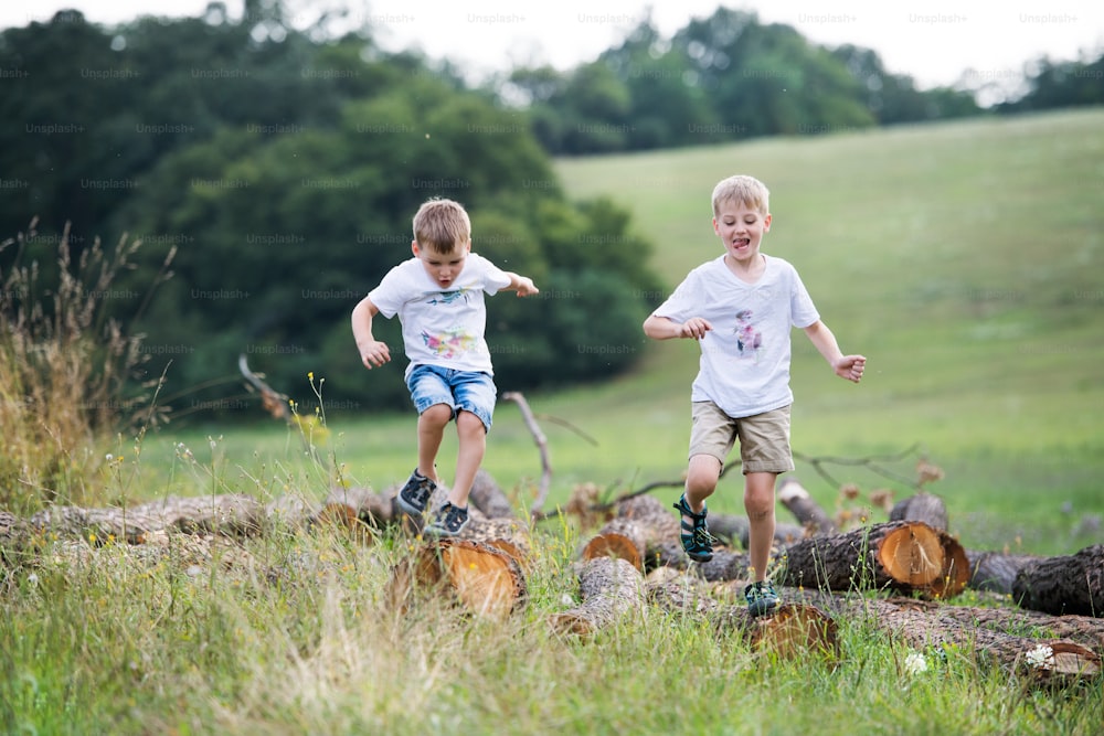Two cheerful small boys running in nature on a summer day, jumping on wood logs.