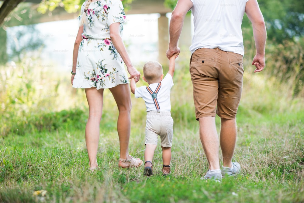 A rear view of young family with a small toddler boy walking in sunny summer nature, holding hands. A midsection.