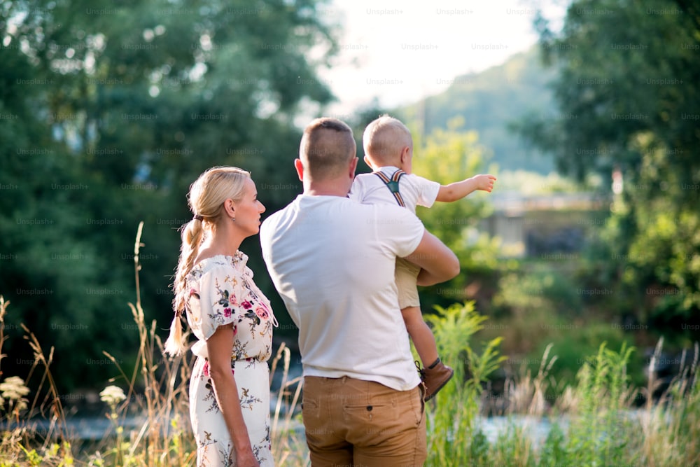 A rear view of young family with a small toddler boy standing in sunny summer nature.