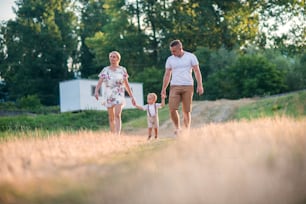 Young family with a small toddler boy walking in sunny summer nature, holding hands.