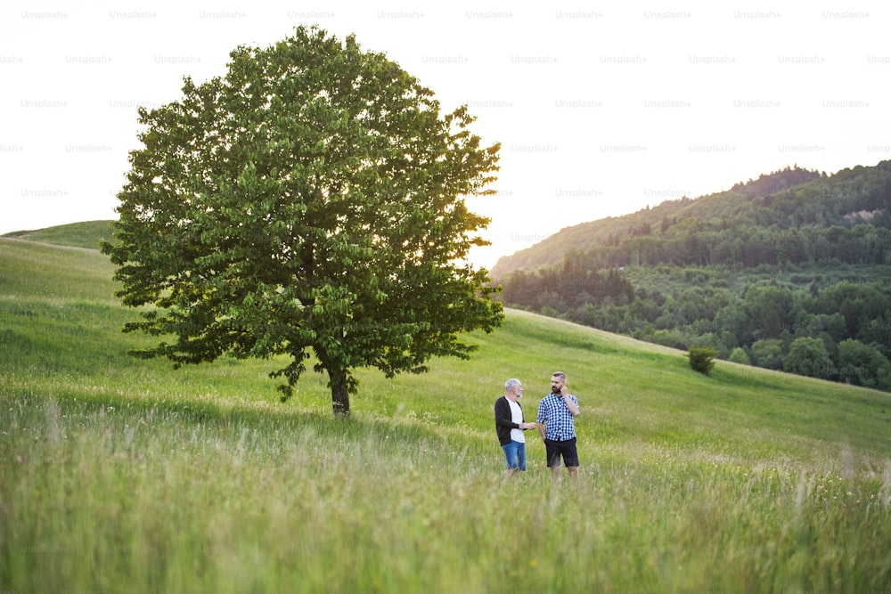 An adult hipster son with his senior father standing on a meadow in nature at sunset.