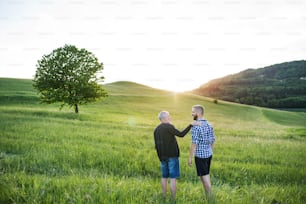 Un fils hipster adulte avec son père aîné marchant dans un pré dans la nature au coucher du soleil.