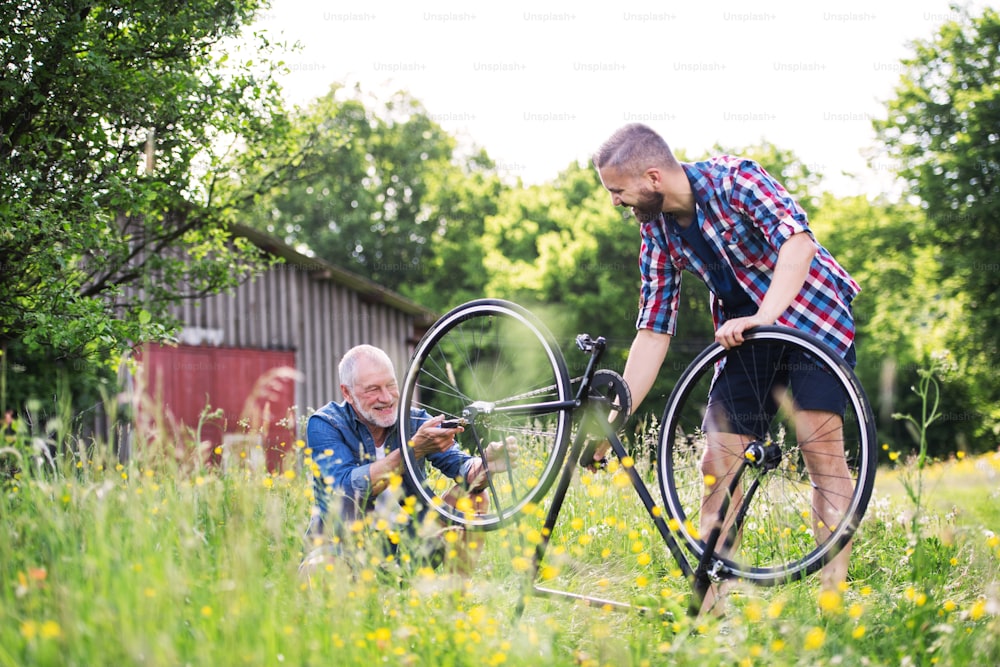 Un hijo hipster adulto y un padre mayor reparando bicicletas afuera en un soleado día de verano.