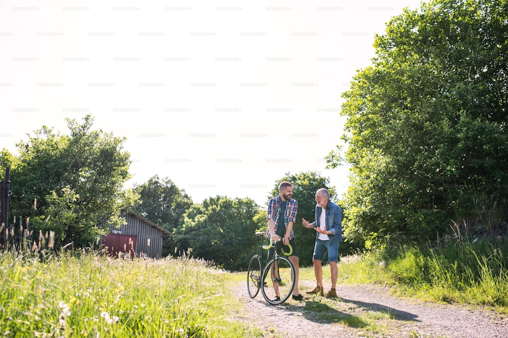 An adult hipster son with bicycle and senior father walking on a road in sunny nature. Copy space.