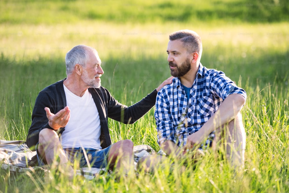 Un figlio hipster adulto con il padre anziano seduto sull'erba nella natura soleggiata.