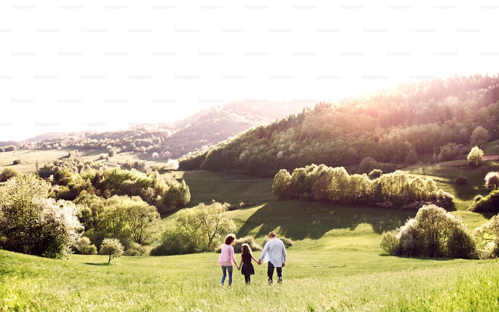 A rear view of senior couple with granddaughter walking outside in spring nature. Copy space.