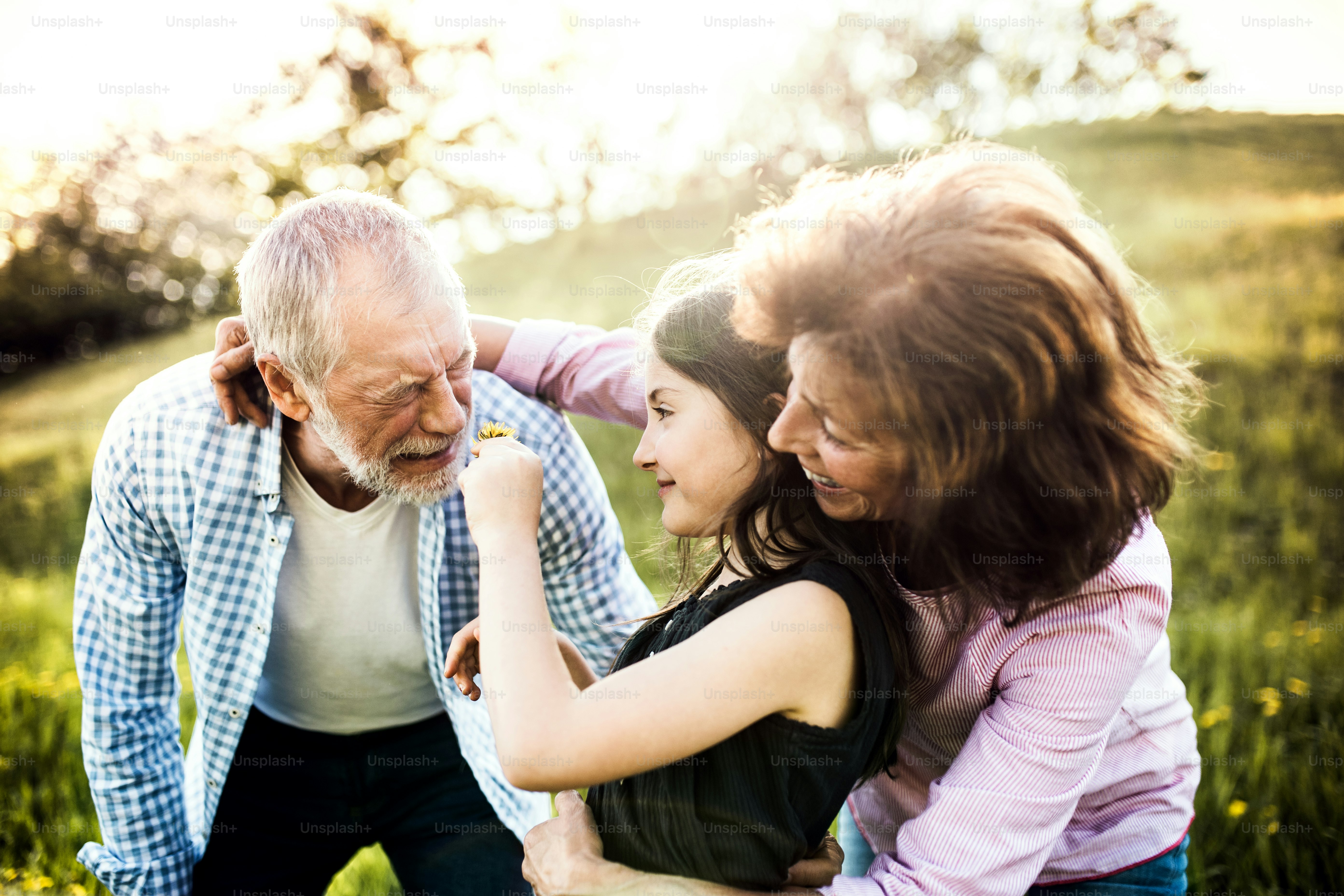 Senior couple with granddaughter outside in spring nature, having fun. An old man sneezing after being tickled with a flower.