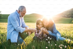 A senior couple with granddaughter outside in spring nature at sunset.
