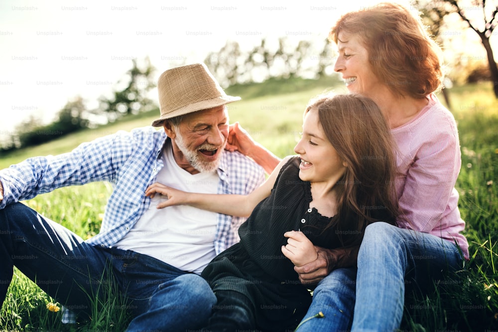 Senior couple with granddaughter outside in spring nature, relaxing on the grass and having fun.