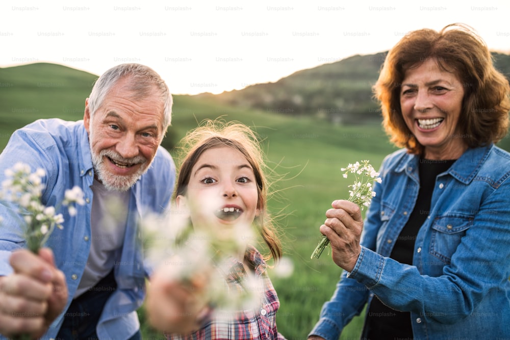 A happy small girl with her senior grandparents holding flowers outside. Sunset in spring nature. Close up.