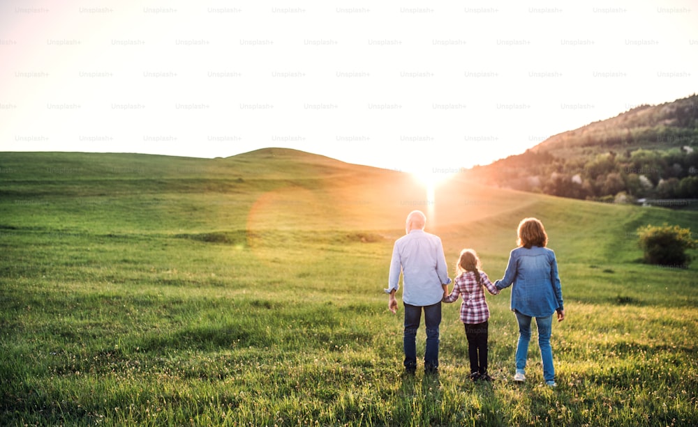 Cheerful senior couple with granddaughter outside in spring nature, walking at sunset. Rear view.