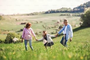 Senior couple with granddaughter outside in spring nature, laughing. Copy space.