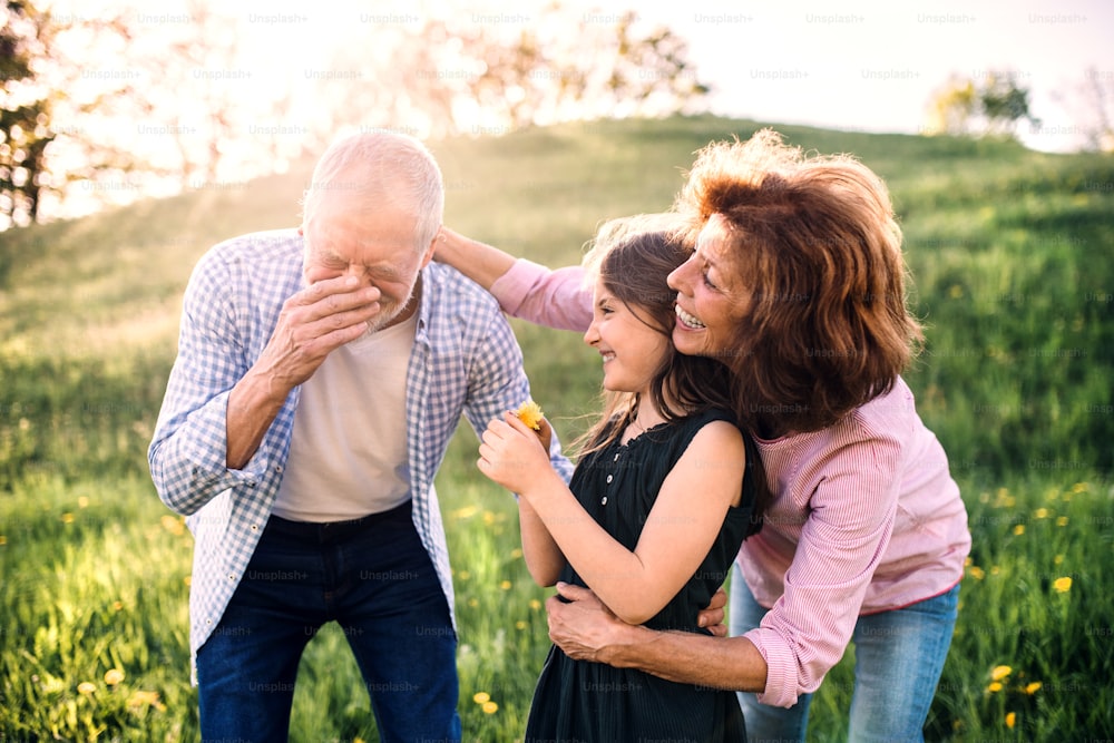 Senior couple with granddaughter outside in spring nature, having fun. An old man sneezing after being tickled with a flower.