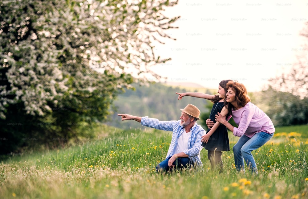 Senior couple with granddaughter outside in spring nature, relaxing on the grass and pointing finger at something.