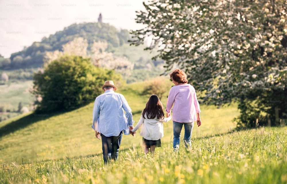 Cheerful senior couple with granddaughter outside in spring nature, walking. Rear view.