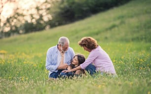 Couple de personnes âgées heureux avec petite-fille à l’extérieur dans la nature printanière, se relaxant sur l’herbe.