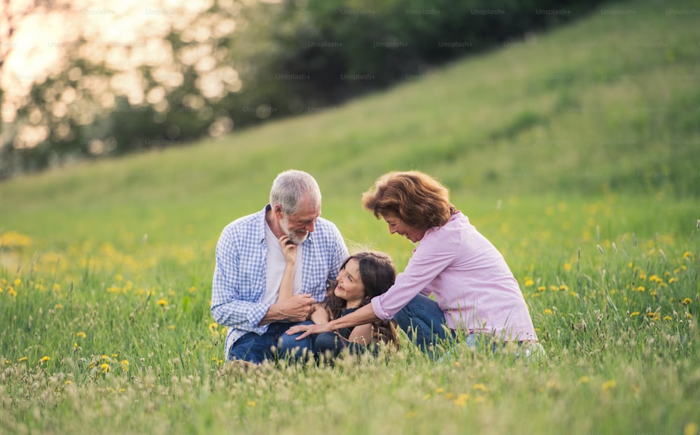春の自然の中で孫娘と幸せな老夫婦が芝生の上でくつろぐ。