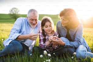 Senior couple with granddaughter outside in spring nature, sitting on the grass and relaxing. Close up.