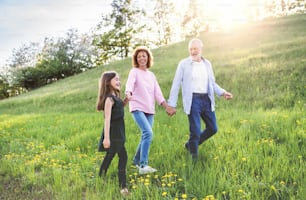 Cheerful senior couple with granddaughter outside in spring nature, walking.